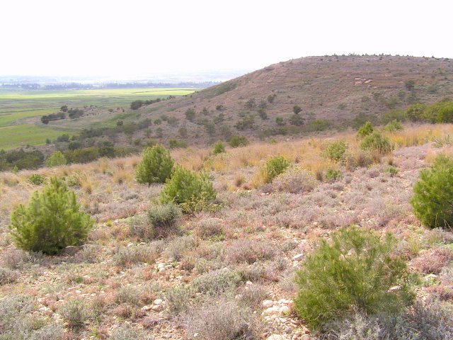 General view of the Confluence (ca. 20 m away, direction NW)