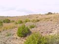 #2: View towards the N of the Confluence