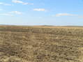 #6: View to the Southwest from the Confluence.