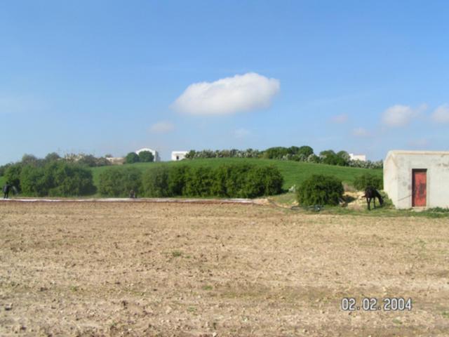 Looking north from the confluence