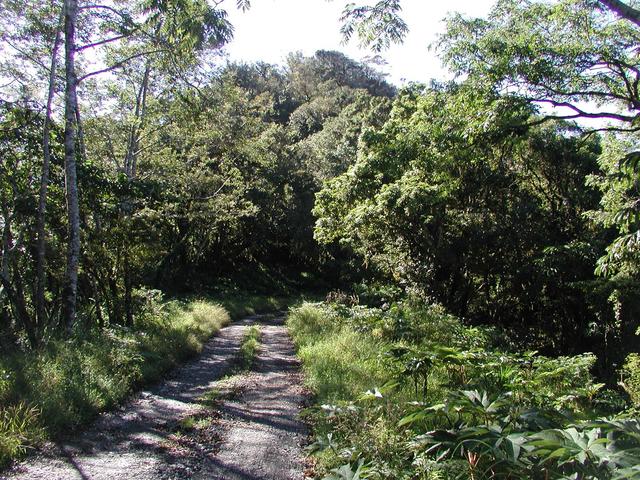 Near the end of paved forest road - as far as we were able to gp