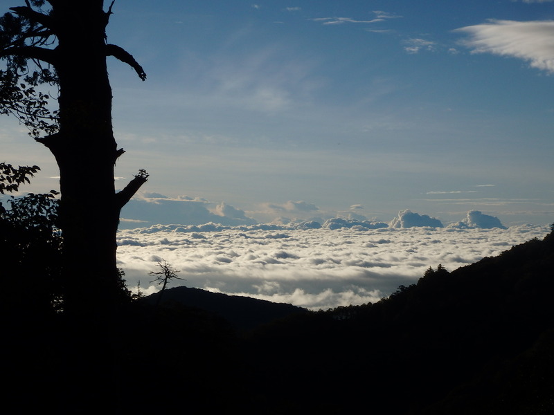 Above the clouds