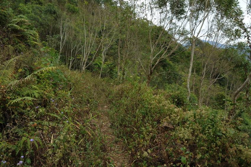 The trail leading toward the Confleunce Point