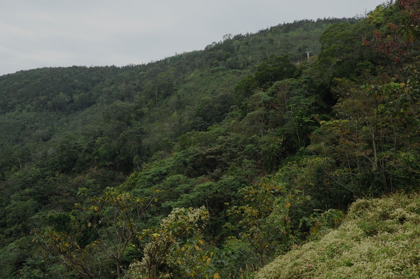 General view of the Confluence point from 640 meters away -  a little below the ridge line in the middle