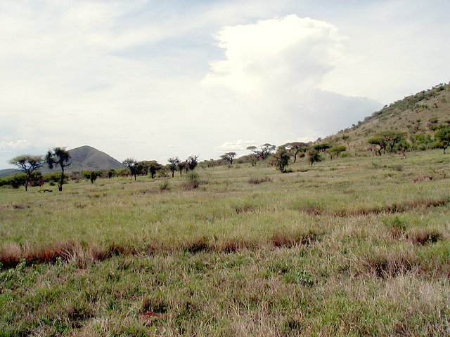 Looking North from the CP