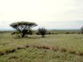 #4: Looking West from the CP - Kitumbeni is in the far background