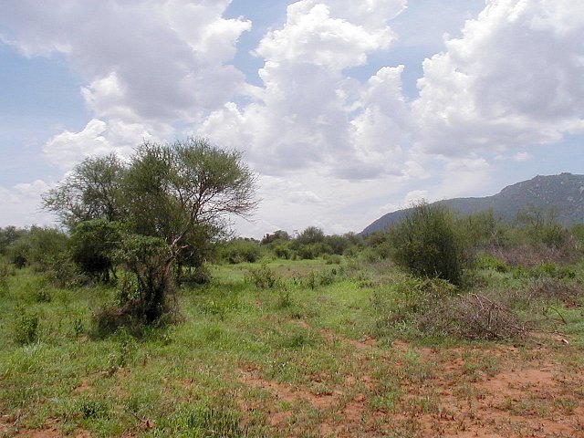 Looking South from the CP