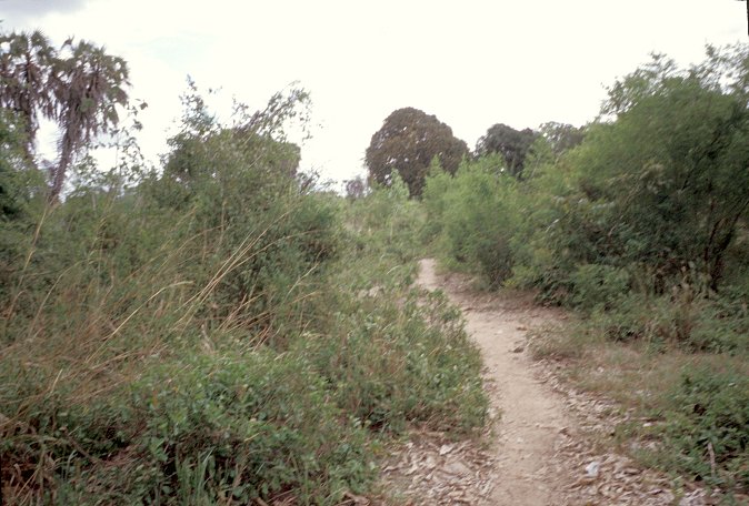 Path to the Confluence