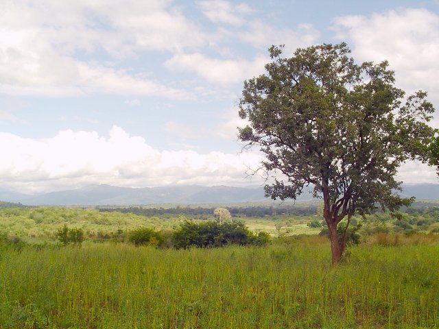 View over the area of the Confluence