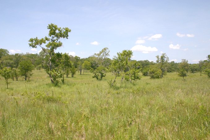 Area of the Confluence