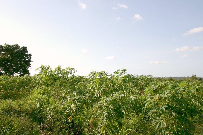 View to the North of the Confluence