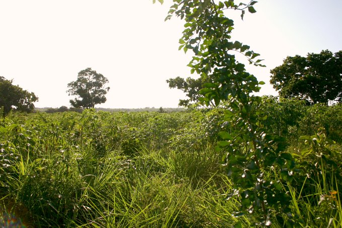 View to the South of the Confluence