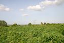 #2: View to the East of the Confluence