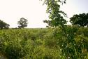 #3: View to the South of the Confluence