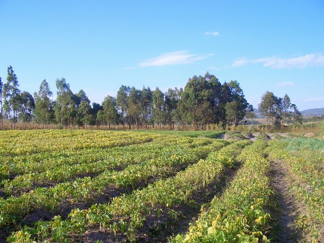 Looking at the CP from about 15 meters