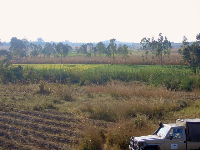 Looking towards the CP from the rail tracks about 200 meters away