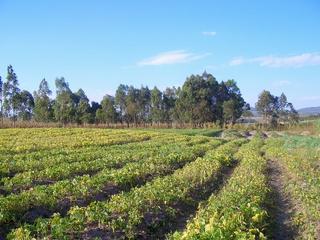 #1: Looking at the CP from about 15 meters