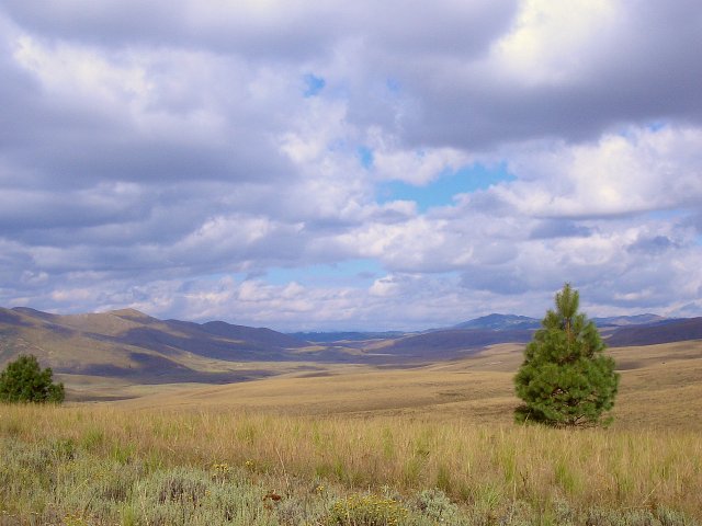 Beautiful mountain meadows that you can't believe exist in Tanzania!