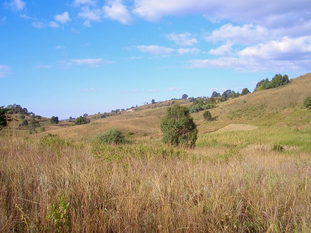 Looking East from the CP