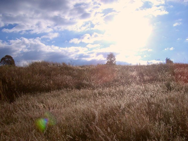 Looking West from the CP