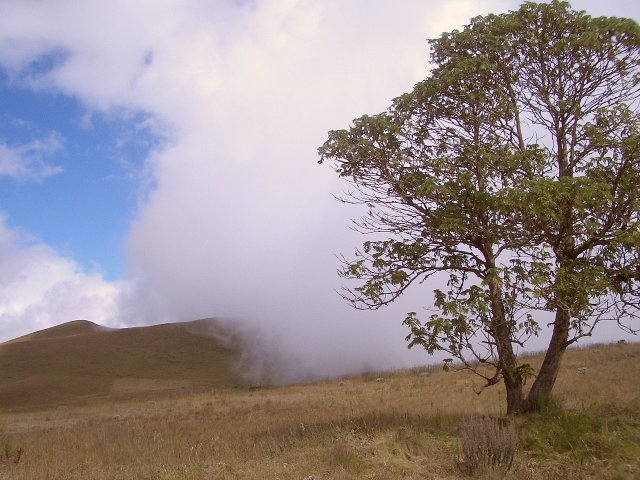 As we passed the wall of fog we burst out to a beautiful blue sky day!