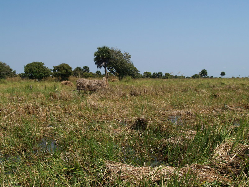 Confluence point - 29 meters ahead