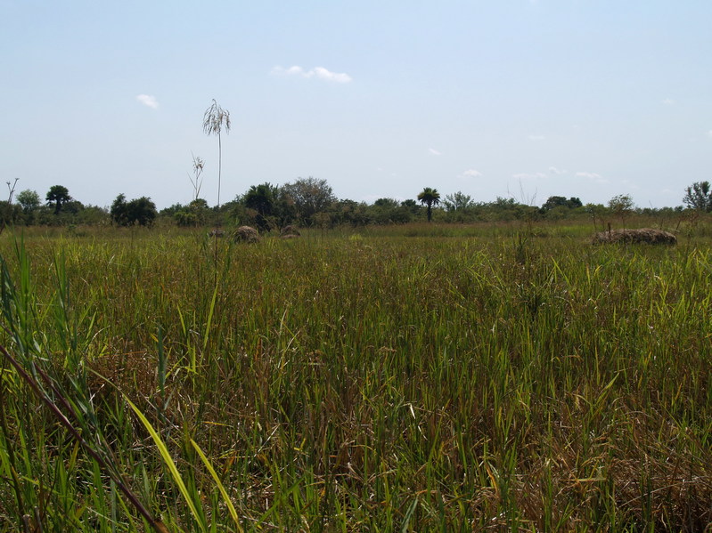 Southeast view at confluence point