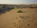 #4: From the Conflence looking west. Showing the confluencists footprints.