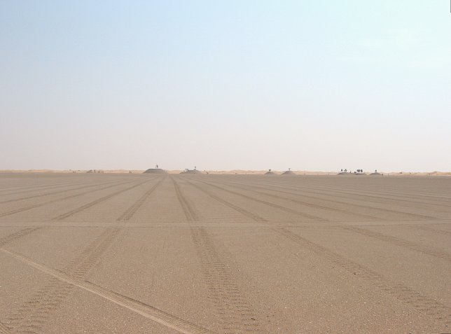 Gravel plain and a few (protected!) trees west of 24N 55E