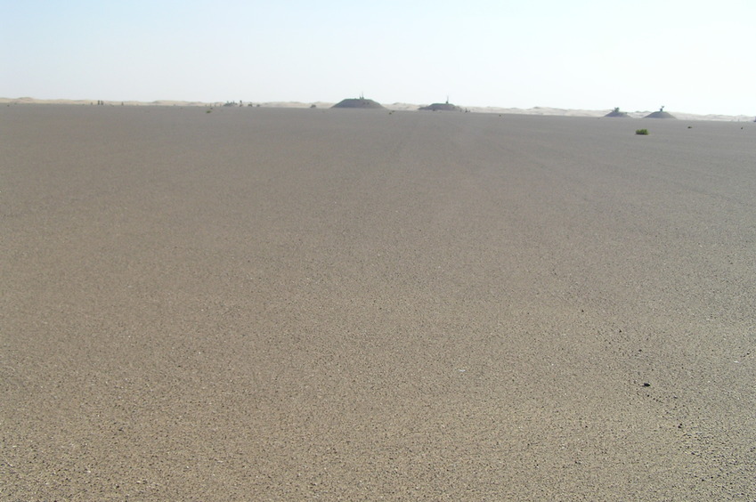 View to the south from the Confluence.