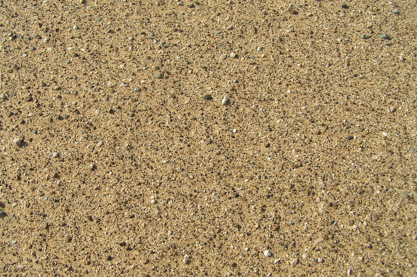 Ground cover at the confluence point.