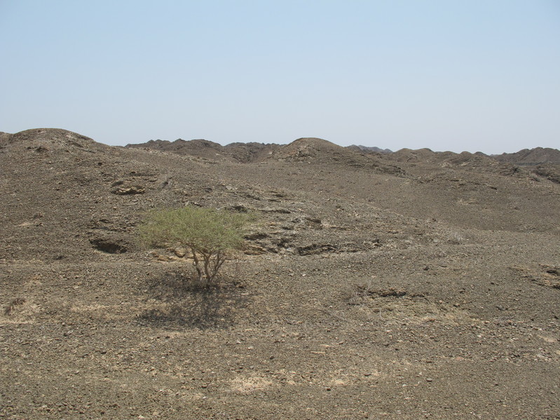 Facing West from Confluence