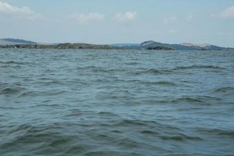 #1: Confluence point on the lake and looking north