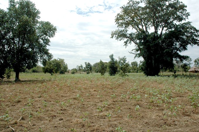 CP in a field - 30 meters away in the center