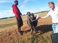 #8: Handing over biscuits to the Karamojan people