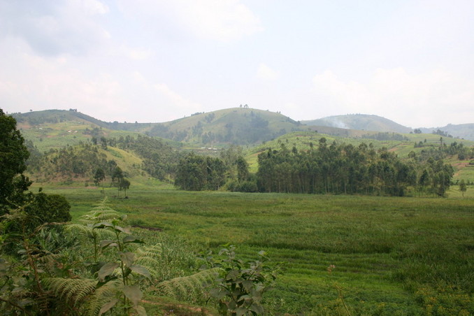 Scenery nearby