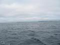 #11: Looking West, Coverack Harbour