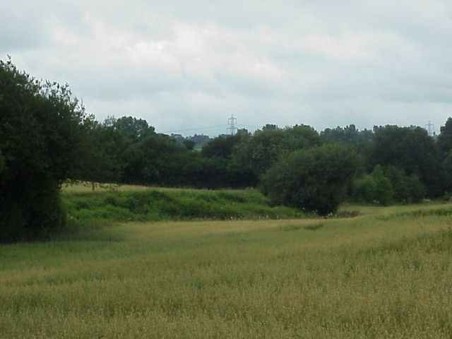 Hidden in the trees to the south the Bluebell Railway.