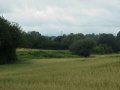 #5: Hidden in the trees to the south the Bluebell Railway.