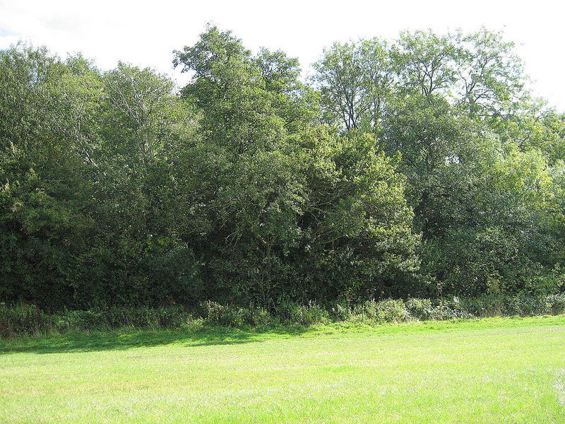 The view East from the confluence