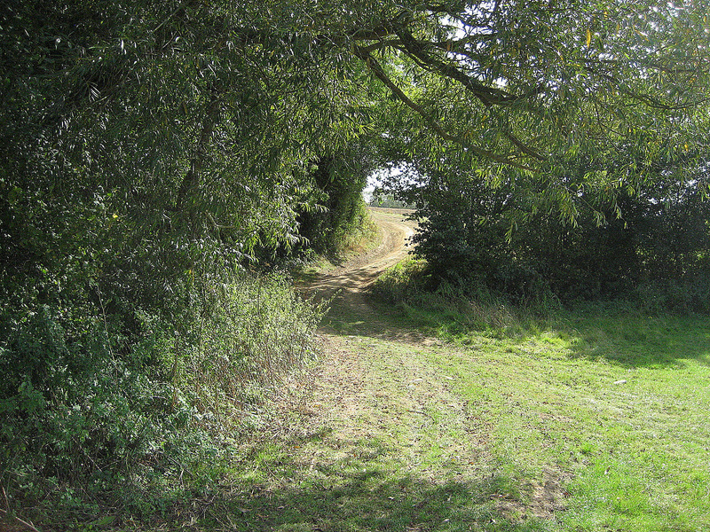 The way out of the confluence field.