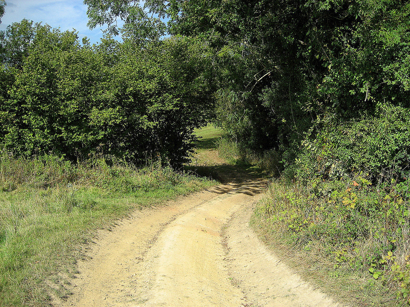 Looking at the route in to the confluence field.