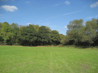 #1: Looking North from the confluence