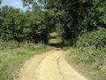 #9: Looking at the route in to the confluence field.