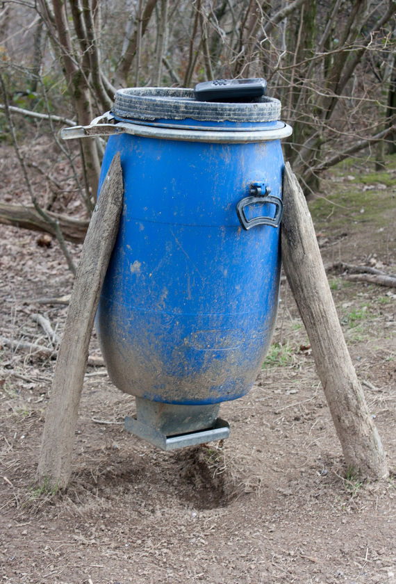 Bird feeder