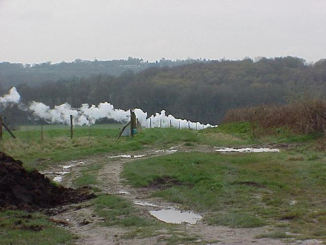 Steam from steam engine on the track leading to the confluence.