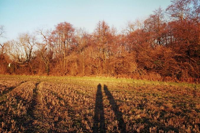 Looking East from N51 W00 Long Shadows!!