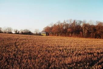 #1: Looking North from N51 W00