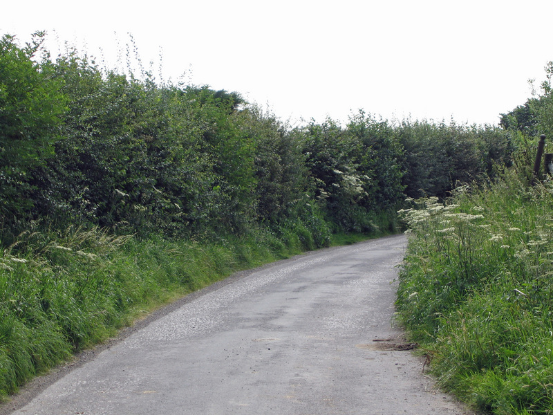 View East down Road