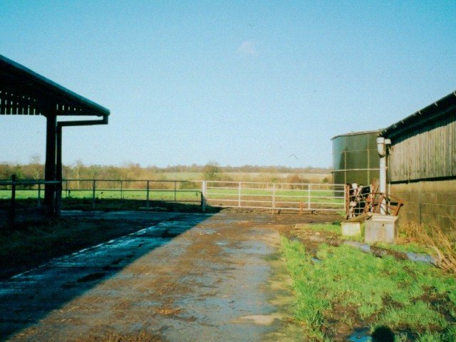 View to the North - can you spot the cows ?